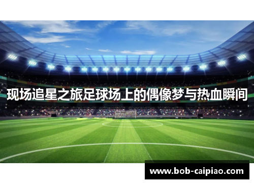 现场追星之旅足球场上的偶像梦与热血瞬间