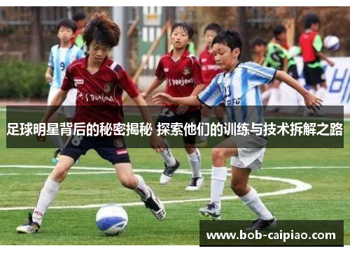 足球明星背后的秘密揭秘 探索他们的训练与技术拆解之路