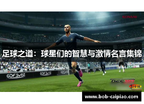 足球之道：球星们的智慧与激情名言集锦